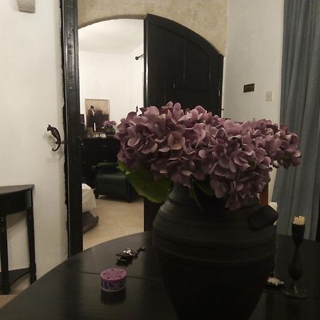 Villa Victoria Gradac  Dış mekan fotoğraf