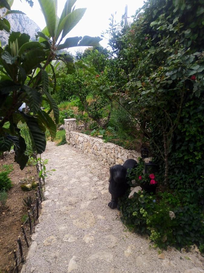 Villa Victoria Gradac  Dış mekan fotoğraf