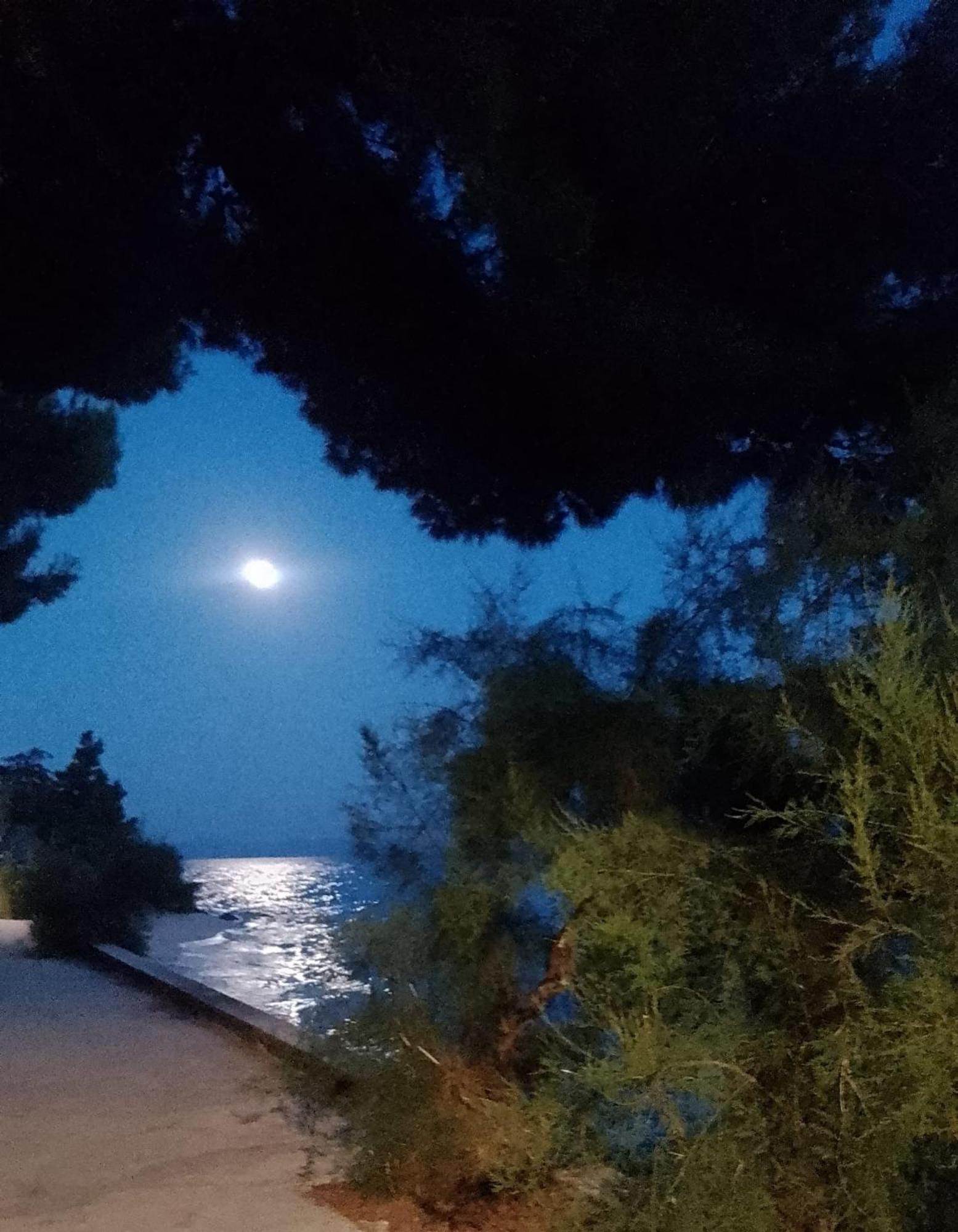 Villa Victoria Gradac  Dış mekan fotoğraf