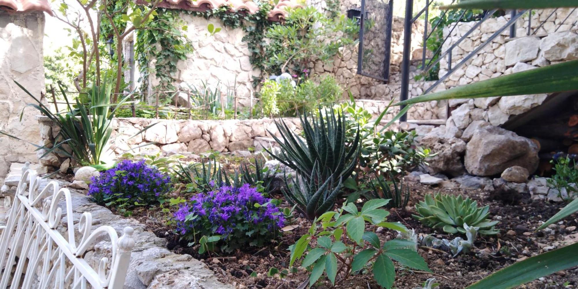 Villa Victoria Gradac  Dış mekan fotoğraf