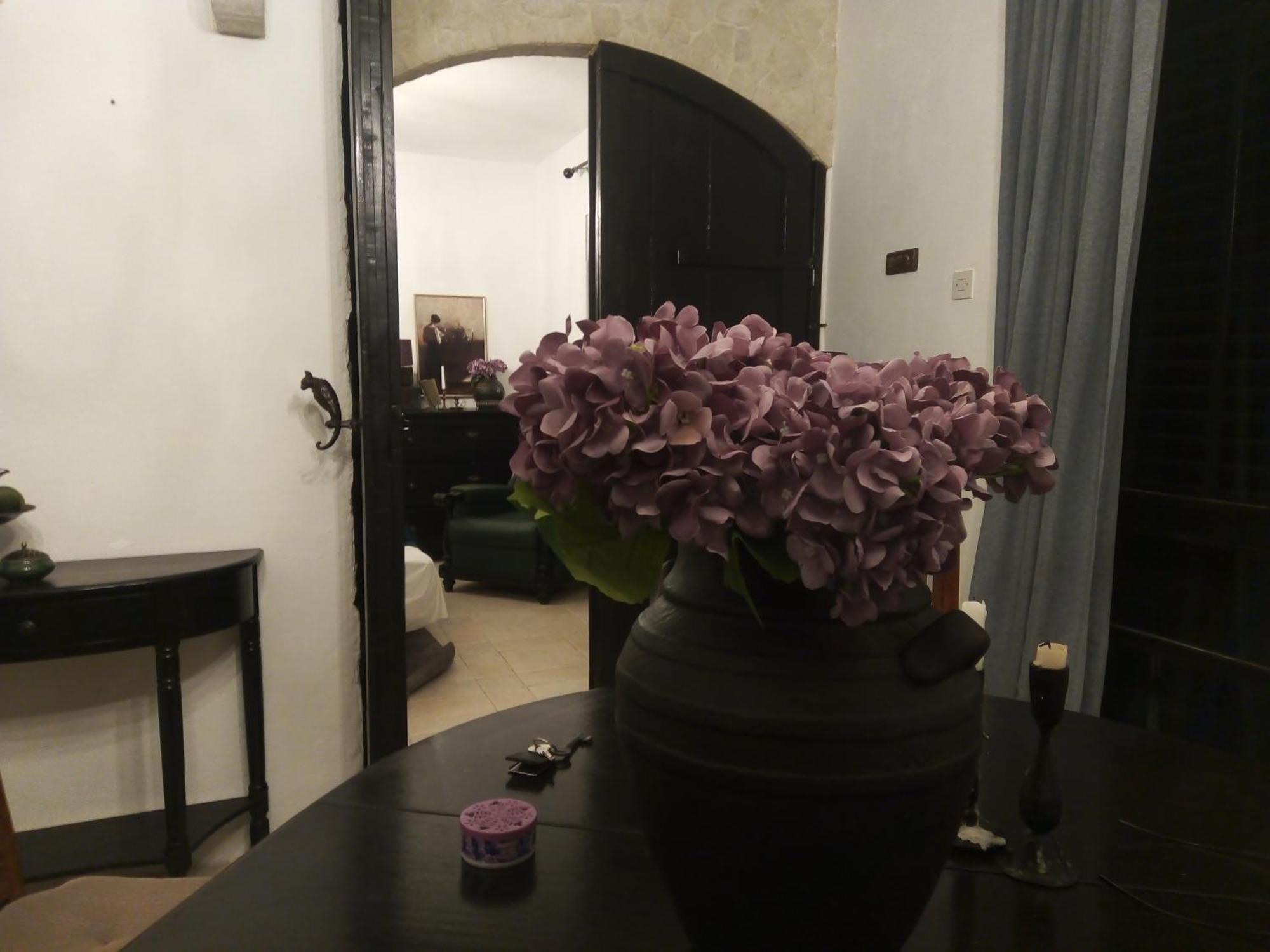 Villa Victoria Gradac  Dış mekan fotoğraf